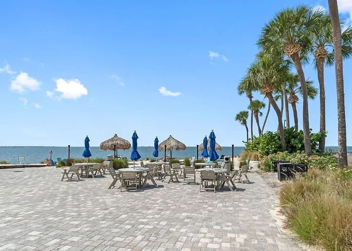 Sunset Paradise - Find Yourself In Tampa